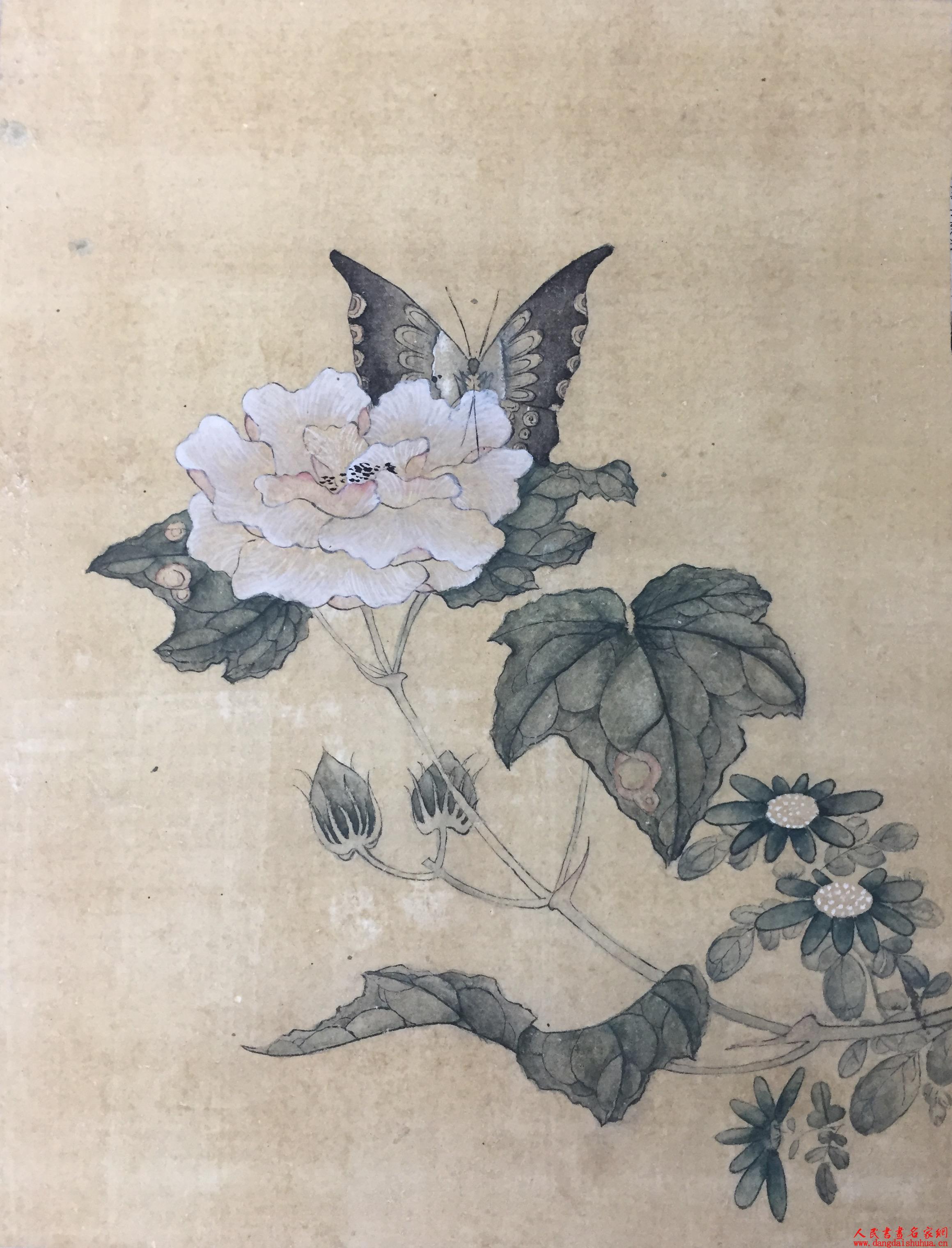 26 李凯琦 山东 入展作品.jpg